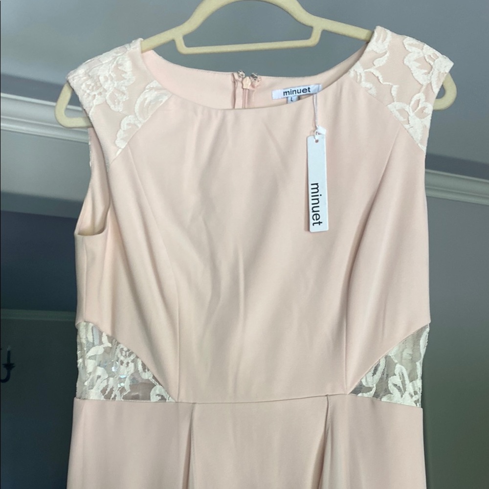 Minuet Elegant Pink Sleeveless Dress with Lace Accents - Picture 4 of 6